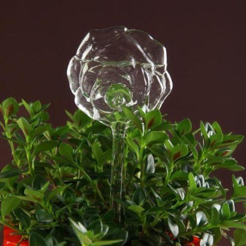 Self Watering Bulbs (Set of 2)